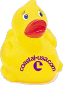 Coastal's just duckie!!